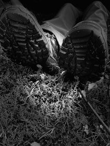 Scenes from the Trail- Resting 